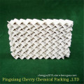 Tower packing Ceramic structured packing